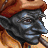 avatar de hhjparaq